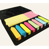 Estuche con notas y banderas adhesivas
